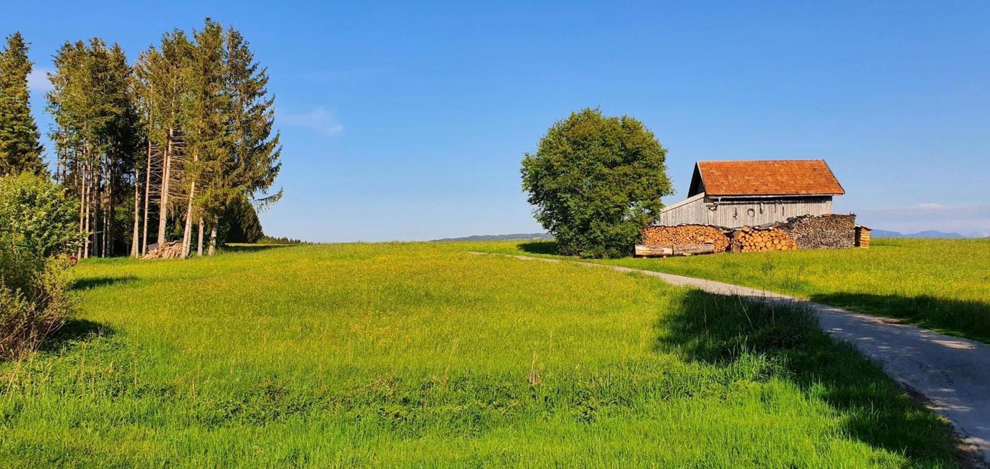 Lechbruck Am See Feriendorf Hochbergle Haus 140 מראה חיצוני תמונה